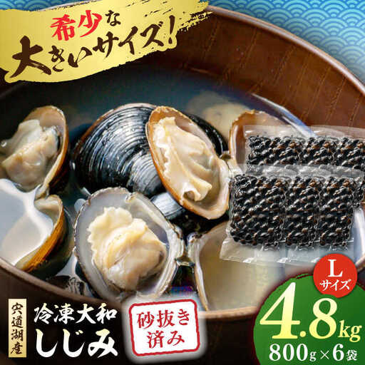 しじみ 砂抜き済 Lサイズ800g×6袋(4.8kg) 島根県松江市/しじみ市場株式会社[ALDK003] しじみ しじみ
