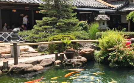 そば 鴨南蛮そばセット5人前 島根県松江市/有限会社八雲庵[ALCZ001] そば そば