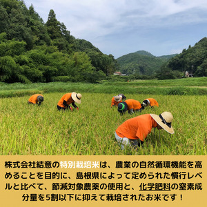 【精米】感動米　特別栽培米つや姫　10㎏　134-05