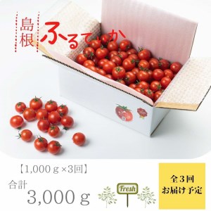 島根県産　海辺のトマトバラ　1kg　【4～6月限定】　041-01