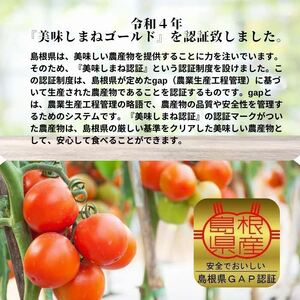 島根県産　海辺のトマトバラ　1kg　【4～6月限定】　041-01