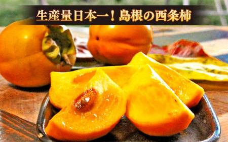 柿 【先行予約】【2025年11月30日より順次発送】【数量限定80個】パクっと気軽に食べれる！西条柿のドライフルーツ60g×6個 島根県松江市/須山農園[ALBD003] 柿 柿