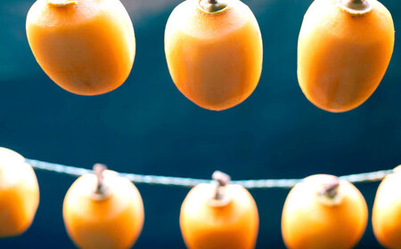 柿 【先行予約】【2025年11月30日より順次発送】【数量限定80個】パクっと気軽に食べれる！西条柿のドライフルーツ60g×6個 島根県松江市/須山農園[ALBD003] 柿 柿