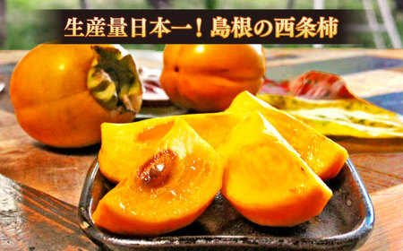 柿 【先行予約】【2025年11月30日より順次発送】【数量限定80個】西条柿の美味しさを満喫！西条柿のドライフルーツと干し柿L セット 島根県松江市/須山農園[ALBD002] 柿 柿