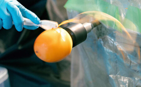 柿 【先行予約】【2025年11月30日より順次発送】【数量限定80個】西条柿の美味しさを満喫！西条柿のドライフルーツと干し柿L セット 島根県松江市/須山農園[ALBD002] 柿 柿