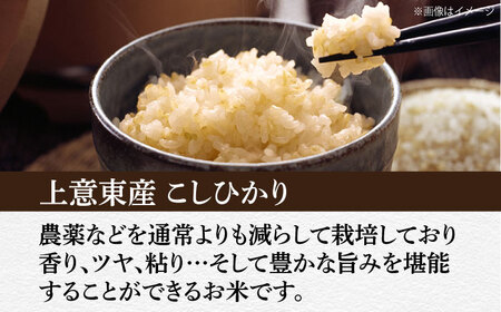 米 五ツ星お米マイスター厳選【玄米】エコ栽培米 恵の上意東産「コシヒカリ」10kg 島根県松江市/株式会社沼田米穀店[ALBU002] 米 米