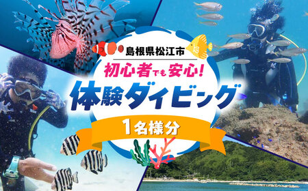 ダイビング 松江で海中散歩♪初心者でも安心の体験ダイビングプラン 島根県松江市/合同会社LOCOBLUE[ALFE001] ダイビング ダイビング