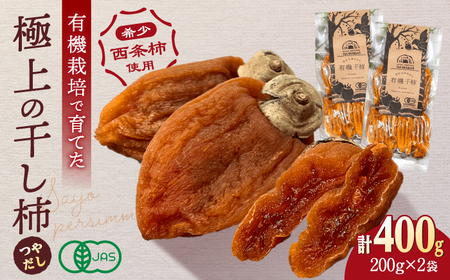 干し柿 【2024年産 先行受付】宝箱のつやだし有機干し柿 島根県松江市/有限会社宝箱[ALBI003] 干し柿 干し柿