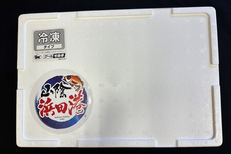 白いか一夜干し（１００g～１２０gｘ4枚） 海鮮 いか 白いか 一夜干し 干物 いか 【1871】