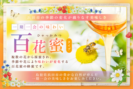 水のきれいな浜田市金城町産「いわみの里山 純粋はちみつ」500g×2本【184_1904】