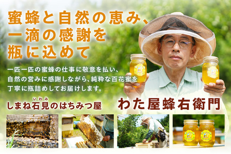 水のきれいな浜田市金城町産「いわみの里山 純粋はちみつ」500g×2本【184_1904】