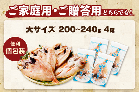 浜田加工 大秀商店の「干しのどぐろ（大）」（4尾入り）魚介 魚介類 魚 開き 干物 のどぐろ【038_1951】