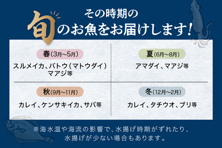 この男に任せてみませんか～浜田の旨い鮮魚直送便(下処理なし)～ 海鮮 鮮魚 詰め合わせ セット おまかせ 旬 直送便 人気 お取り寄せ 【1952】