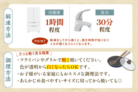 島根県浜田加工 真空包装で鮮度抜群白イカの一夜干し6枚（計400g以上）【005_0144】