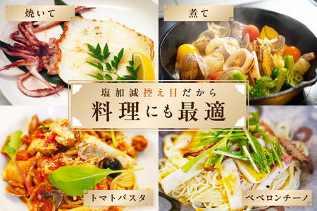 島根県浜田加工 真空包装で鮮度抜群白イカの一夜干し6枚（計400g以上）【005_0144】