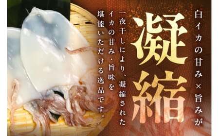 島根県浜田加工 真空包装で鮮度抜群白イカの一夜干し6枚（計400g以上）【005_0144】