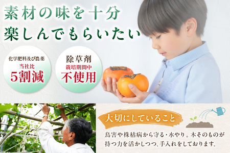 【先行予約】山陰浜田の無花果「キング」ほか果物5種セット【定期便】【113_2065】