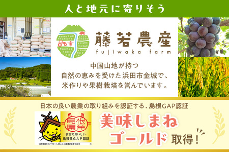 【令和7年産】浜田市金城町産【おぐに米】5kg【定期便】（6回コース）【071_2074】