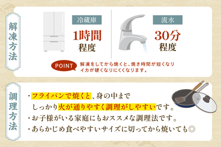 島根県産スルメイカ一夜干しカット済600g （ゲソ200g付き） 産地直送 干物 一夜干し イカ 人気 大容量 小分け 国産 【005_0149】
