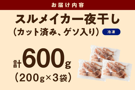 島根県産スルメイカ一夜干しカット済 計600g（小分け200g×3袋） 産地直送 干物 一夜干し イカ 人気 大容量 小分け 国産 冷凍ストック 【005_2059】