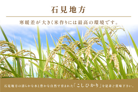 【令和7年産】【数量限定】【定期便】神楽の郷 石見のこしひかり （5kg×6回コース）【058_1853】