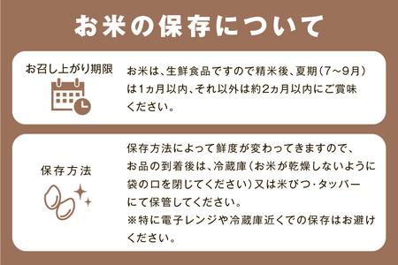 【令和7年産】【数量限定】【定期便】神楽の郷 石見のこしひかり （5kg×6回コース）【058_1853】