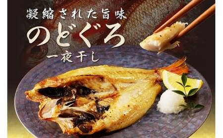 山陰浜田港水揚げされた人気干物セット 【025_0437】