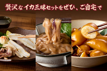 【イカ好き必見!】浜田名物イカ三昧セット(干物・塩辛・いかめし) 【025_0439】