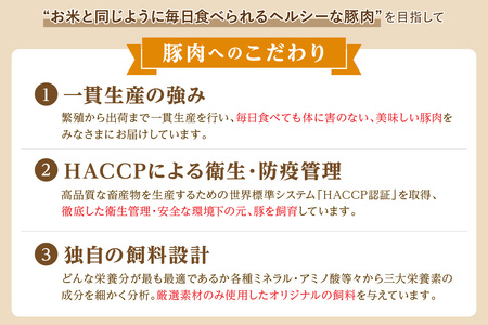 おうちごはんセットB（ステーキ２種、こま切れ、スライス肉、豚ミンチセット） 【002_1973】