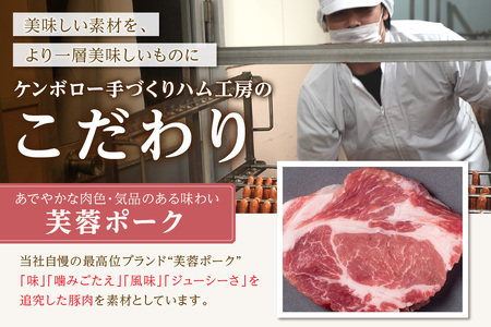 おうちごはんセットB（ステーキ２種、こま切れ、スライス肉、豚ミンチセット） 【002_1973】