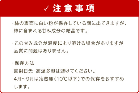 干し柿（西条柿）１０個セット 【032_2111】