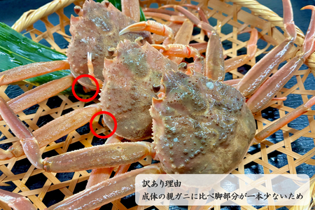 【訳あり】　親ガニ甲羅盛り 【087_1741】