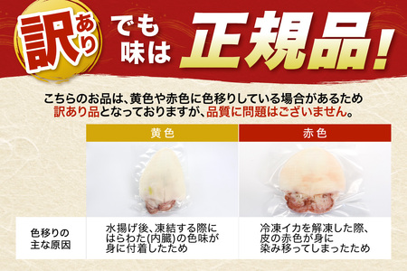 訳あり品でも味は正規品 島根県産剣先イカ一夜干し計500g(5~10枚) 【005_2078】
