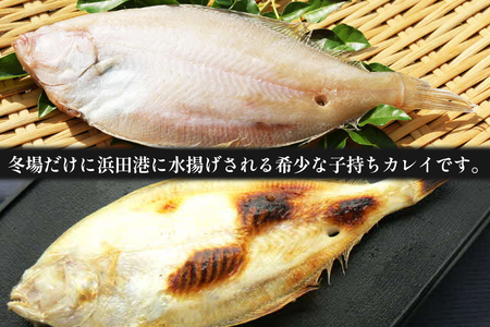 【先行予約】山陰浜田港水揚げ　希少な干し甲高カレイ（卵入り） 魚介 干物 一夜干し おつまみ おかず カレイ 【019_1956】