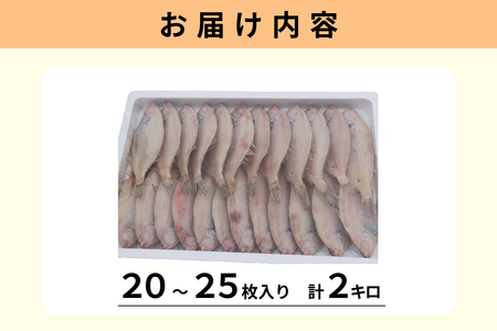 【先行予約】山陰浜田港水揚げ　希少な干し甲高カレイ（卵入り） 魚介 干物 一夜干し おつまみ おかず カレイ 【019_1956】