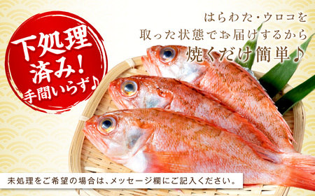 のどぐろ(鮮魚)1.2kg程度 処理済 のどぐろ 【006_2041】
