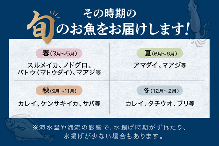 【鮮魚屋にお任せ！大満足の定期便】【定期便】 この男の目利き！～浜田の旨い鮮魚3回お届けコース～ 定期便 3回 海鮮セット 海鮮 鮮魚 セット 下処理済み おすすめ 返礼品 お取り寄せ 人気 【11】