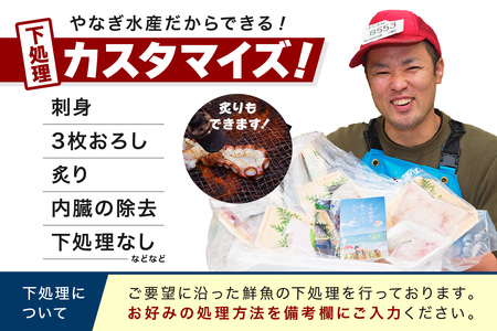 【鮮魚屋にお任せ！大満足の定期便】【定期便】 この男の目利き！～浜田の旨い鮮魚3回お届けコース～ 定期便 3回 海鮮セット 海鮮 鮮魚 セット 下処理済み おすすめ 返礼品 お取り寄せ 人気 【11】