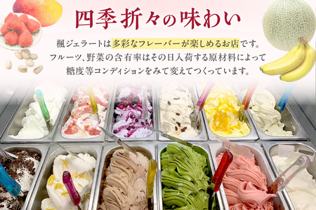 ジェラートセット おやつ お菓子 デザート スイーツ アイス ジェラート 冷菓 ギフト 贈り物 ご褒美 ひんやりグルメ お取り寄せ 【003_0642】