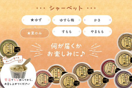 里山アイス詰め合わせ アイス スイーツ デザート ジェラート セット 詰め合わせ おやつ ひんやりグルメ お取り寄せ ご褒美 ギフト 贈り物 夏ギフト 無香料 無着色 【015_1470】