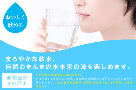  ミネラルウォーター 金城の華 500ml 2L 各一箱 水  ミネラルウォーター ペットボトル 天然水 アルカリイオン 【67】