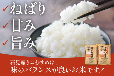 令和5年産】「石見産きぬむすめ」の塩むすびセット お祝い 母の日 お