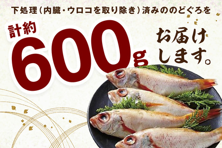 山陰浜田 香住屋の「のどぐろ」煮付け・塩焼き用（3～5尾・600g） のどぐろ 煮付け 塩焼き 下処理済 特産品 おすすめ 海鮮【024_1978】