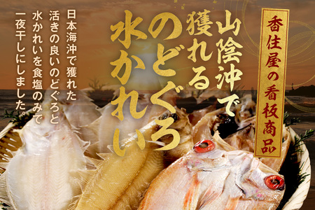 山陰浜田 香住屋のこだわり干物「水かれい・のどぐろ一夜干し」 魚介類 魚 干物 一夜干し のどぐろ 水かれい セット 詰め合わせ のどくろ 【024_1979】