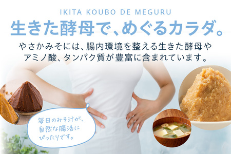 有機こだわり味噌セット 調味料 味噌 セット 万能 おみそ 常温 セット 詰め合わせ 【041_1195】