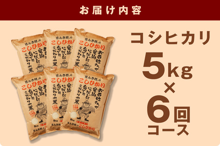 【令和５年産】ほんき村のこしひかり 30kg（5kg×6回コース）【287】