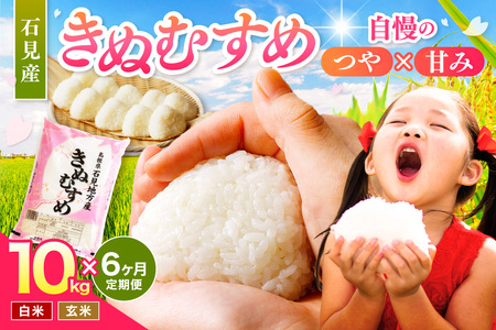 【令和7年産】【定期便】石見産きぬむすめ　6ヶ月（10ｋｇ×6回コース） 米 お米 精米 白米 ごはん 新生活 応援 準備 お取り寄せ 特産 定期 6回 新米 【058_1854】