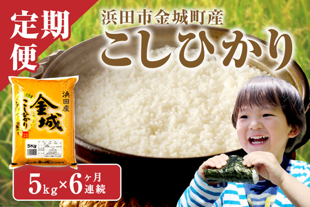 【令和7年産】【定期便】浜田市金城町産こしひかり（5kg×6回） 定期便 6回 こしひかり お取り寄せ 特産 お米 精米 白米 ごはん ご飯 コメ 生活応援 応援 準備 【058_1855】