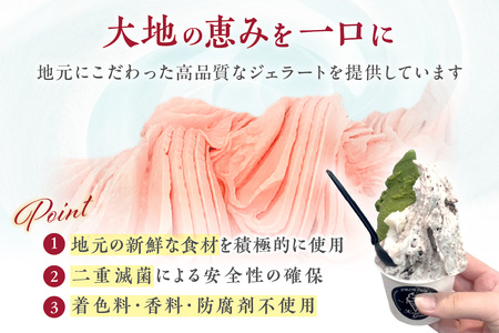 島根の新鮮な素材をふんだんに使った「イタリアンジェラート」（6個入） アイスクリーム 人気 スイーツ イタリアンジェラート お菓子 アイス ミルク チョコ 抹茶 苺 ギフト ご褒美 贈答【003_0643】