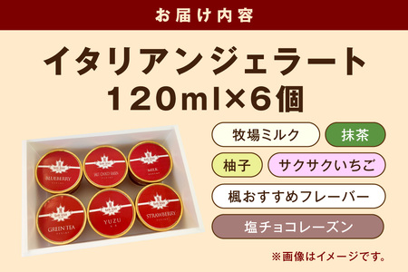島根の新鮮な素材をふんだんに使った「イタリアンジェラート」（6個入） アイスクリーム 人気 スイーツ イタリアンジェラート お菓子 アイス ミルク チョコ 抹茶 苺 ギフト ご褒美 贈答【003_0643】